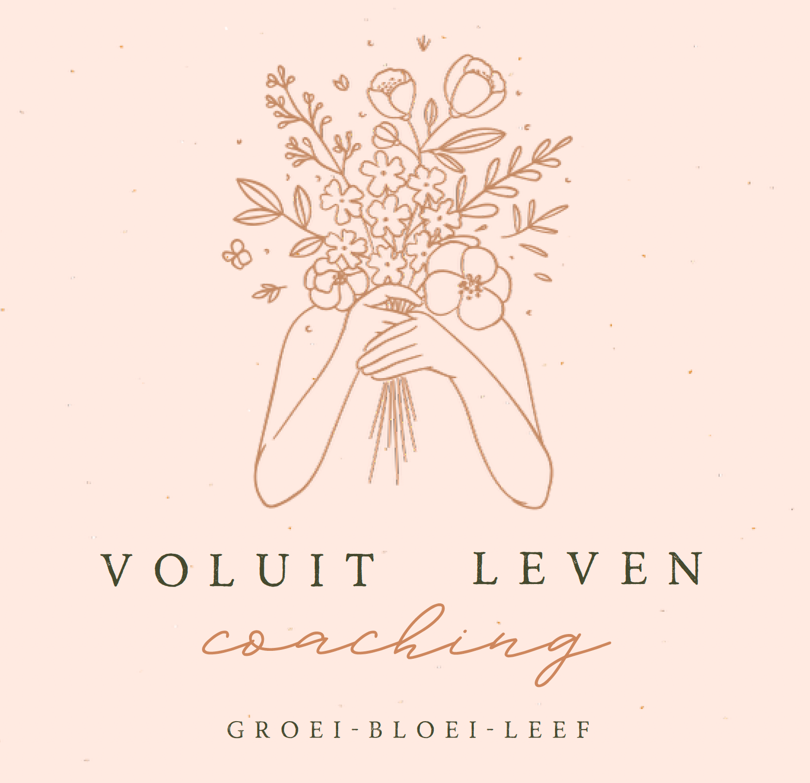 Voluit Leven Coaching